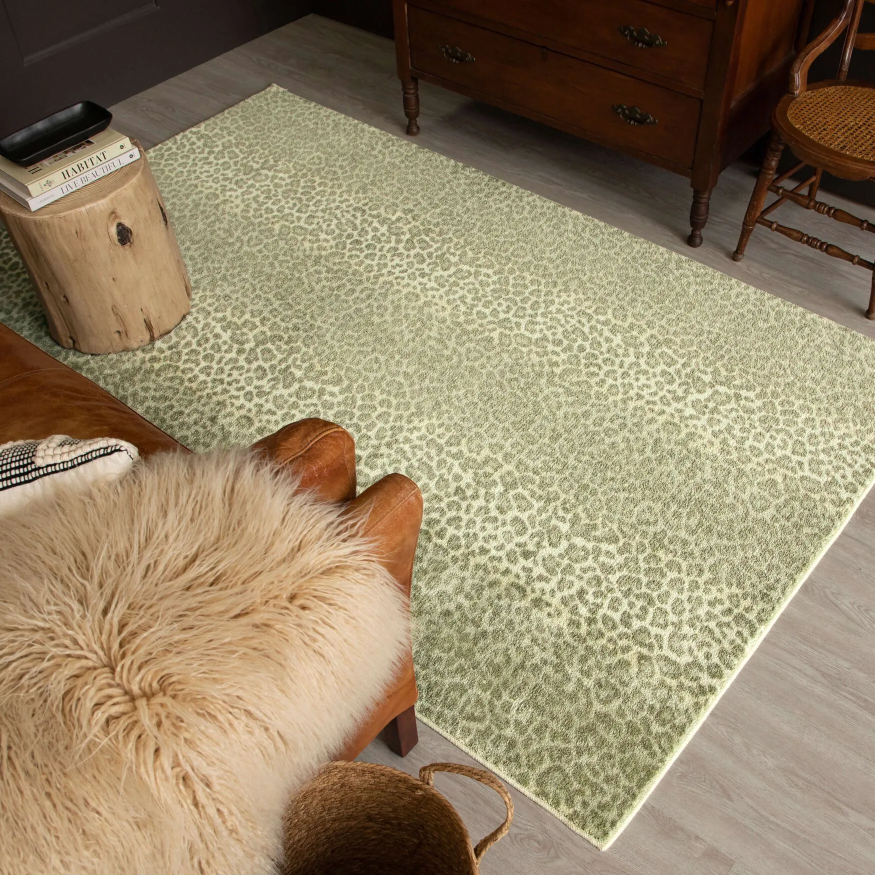 Cheetah Skin Area Rug