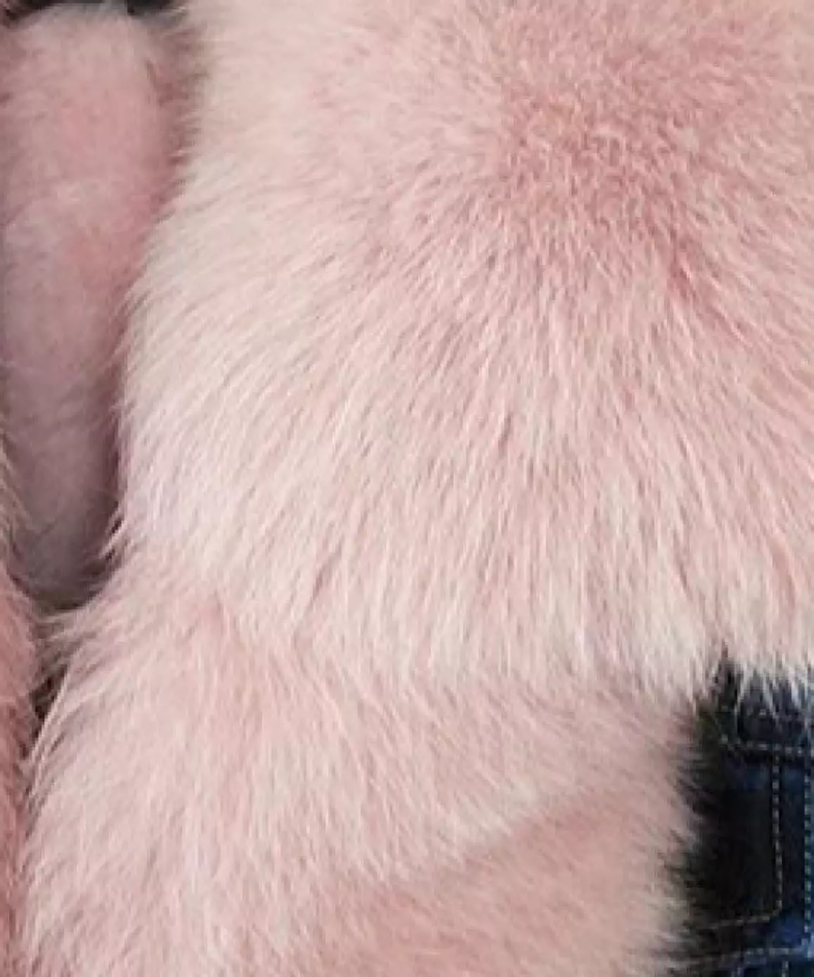 Fox Fur Trimmed Parka Denim Coat With Rabbit Fur Lining In Pink