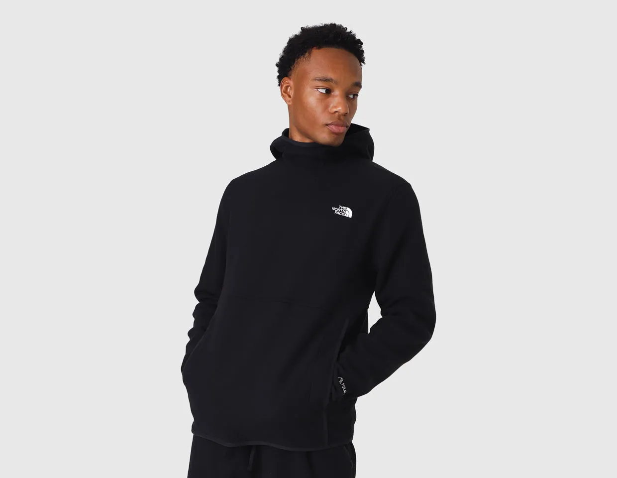 The North Face Men's Alpine Polartec 100 Pullover / Black