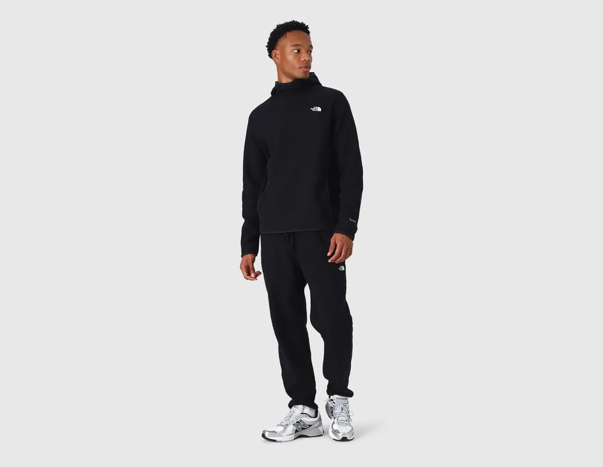 The North Face Men's Alpine Polartec 100 Pullover / Black